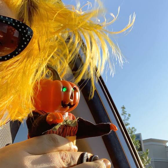 Meet your Posher, Tabitha - Picture 1 of 1